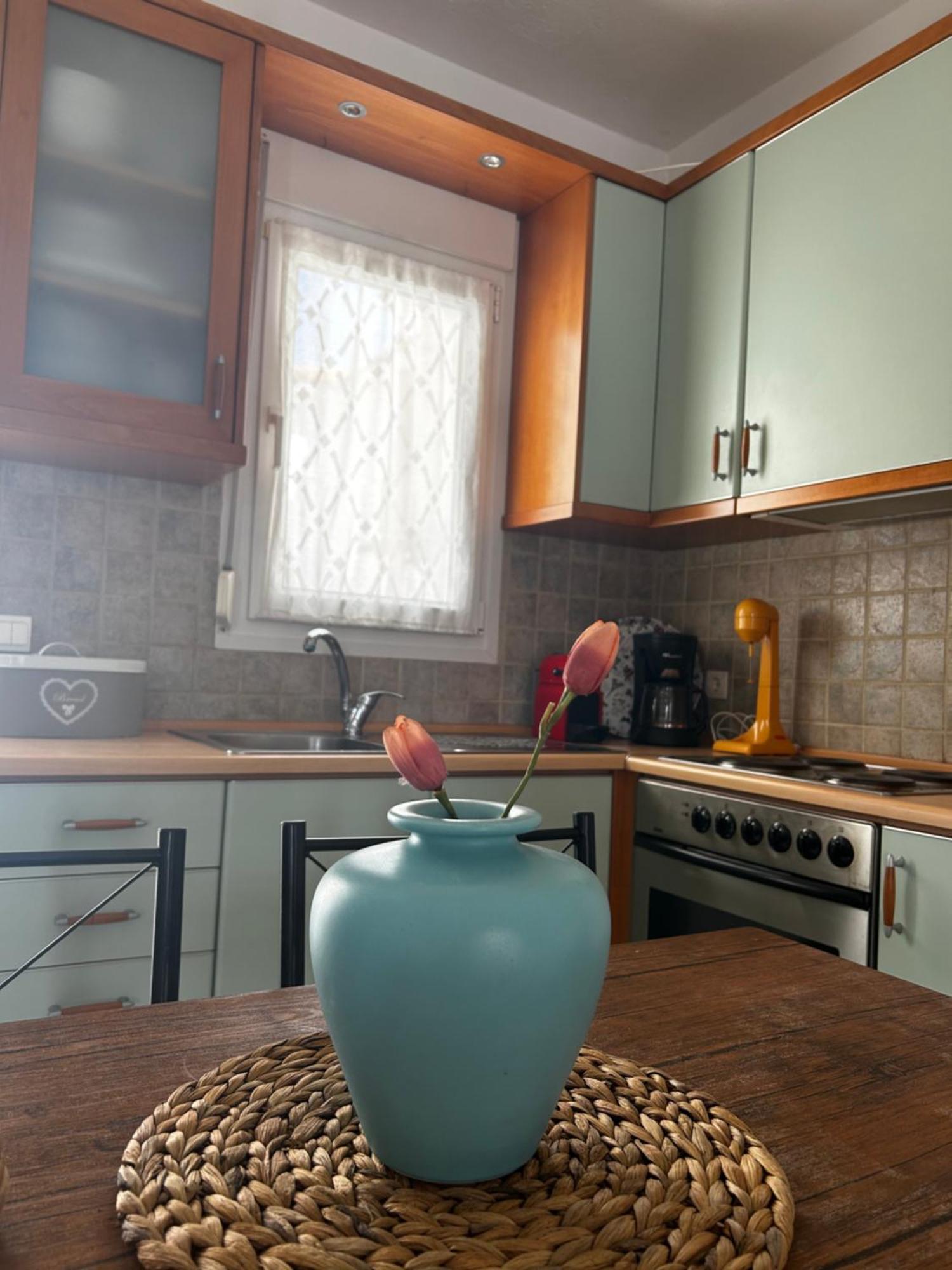 Perfect Hospitality - Elenas House, Nikiti Villa Buitenkant foto